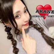 ヒメ日記 2024/05/23 20:34 投稿 AKANE GINGIRA☆TOKYO～ギンギラ東京～