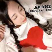 ヒメ日記 2024/09/25 21:04 投稿 AKANE GINGIRA☆TOKYO～ギンギラ東京～