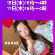 ヒメ日記 2024/10/13 12:32 投稿 AKANE GINGIRA☆TOKYO～ギンギラ東京～