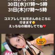 ヒメ日記 2024/10/30 15:14 投稿 AKANE GINGIRA☆TOKYO～ギンギラ東京～