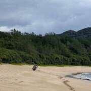 ヒメ日記 2024/12/21 16:47 投稿 妙典いちか ハプニング痴漢電車or全裸入室