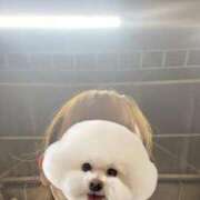 ヒメ日記 2025/01/31 22:07 投稿 妙典いちか ハプニング痴漢電車or全裸入室