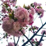 ヒメ日記 2025/04/13 09:07 投稿 妙典いちか ハプニング痴漢電車or全裸入室