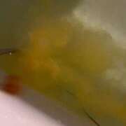 ヒメ日記 2025/05/10 19:17 投稿 妙典いちか ハプニング痴漢電車or全裸入室