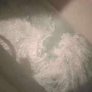 ヒメ日記 2025/05/24 20:07 投稿 妙典いちか ハプニング痴漢電車or全裸入室