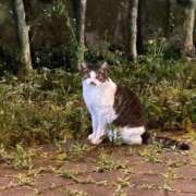 ヒメ日記 2025/06/18 10:07 投稿 妙典いちか ハプニング痴漢電車or全裸入室