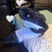 ヒメ日記 2025/08/06 06:57 投稿 妙典いちか ハプニング痴漢電車or全裸入室