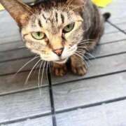 ヒメ日記 2025/09/17 15:57 投稿 妙典いちか ハプニング痴漢電車or全裸入室