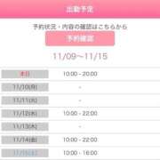 ヒメ日記 2025/11/09 23:59 投稿 妙典いちか ハプニング痴漢電車or全裸入室