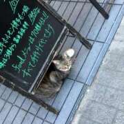 ヒメ日記 2025/12/15 15:37 投稿 妙典いちか ハプニング痴漢電車or全裸入室