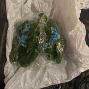 妙典いちか 次は水曜日！♡ ハプニング痴漢電車or全裸入室