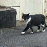 ヒメ日記 2026/02/22 22:27 投稿 妙典いちか ハプニング痴漢電車or全裸入室