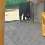 ヒメ日記 2026/03/14 23:27 投稿 妙典いちか ハプニング痴漢電車or全裸入室