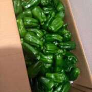 妙典いちか ２６.２９日❣️❣️❣️ ハプニング痴漢電車or全裸入室