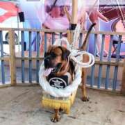 ヒメ日記 2025/11/06 13:37 投稿 あむ 熟女家 堺東店