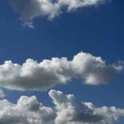 ヒメ日記 2025/10/29 11:15 投稿 あれん 和歌山ちゃんこ