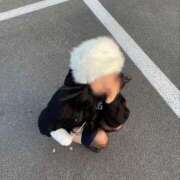 ヒメ日記 2025/11/11 13:49 投稿 あれん 和歌山ちゃんこ