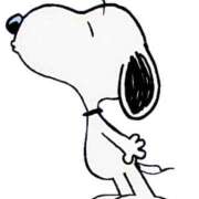 ヒメ日記 2025/02/19 11:00 投稿 あや 胡蝶蘭