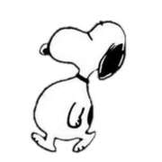 ヒメ日記 2025/02/23 14:48 投稿 あや 胡蝶蘭