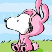 ヒメ日記 2025/04/05 10:27 投稿 あや 胡蝶蘭