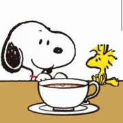 ヒメ日記 2025/04/15 15:52 投稿 あや 胡蝶蘭