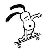 ヒメ日記 2025/06/05 10:05 投稿 あや 胡蝶蘭