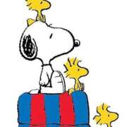 ヒメ日記 2025/06/08 15:40 投稿 あや 胡蝶蘭