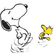 ヒメ日記 2025/10/11 15:37 投稿 あや 胡蝶蘭