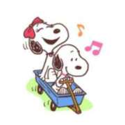 あや 出勤しました 胡蝶蘭