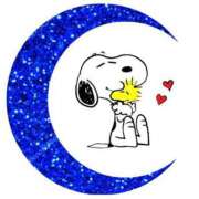 ヒメ日記 2026/02/11 17:43 投稿 あや 胡蝶蘭