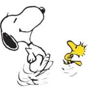 ヒメ日記 2026/02/21 16:02 投稿 あや 胡蝶蘭