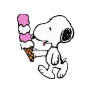 あや 出勤しました 胡蝶蘭