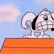 ヒメ日記 2026/03/08 12:37 投稿 あや 胡蝶蘭