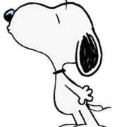 ヒメ日記 2026/03/14 11:42 投稿 あや 胡蝶蘭