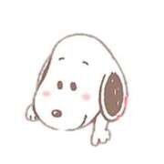 ヒメ日記 2026/03/17 16:46 投稿 あや 胡蝶蘭