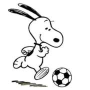 あや 出勤してます 胡蝶蘭