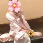ヒメ日記 2025/04/05 08:01 投稿 ひまわり sakura