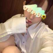 ヒメ日記 2025/09/27 09:42 投稿 ひまわり sakura