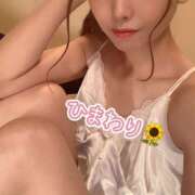 ヒメ日記 2025/10/08 11:52 投稿 ひまわり sakura