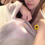 ヒメ日記 2025/12/12 20:02 投稿 ひまわり sakura