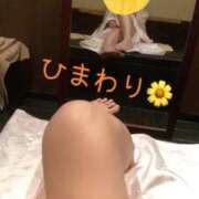 ヒメ日記 2026/04/30 20:32 投稿 ひまわり sakura