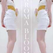 ヒメ日記 2025/11/08 23:25 投稿 絢瀬-Ayase- Aroma Bloom（アロマブルーム）