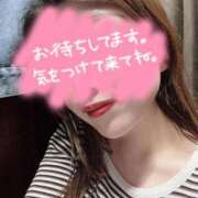 ヒメ日記 2025/04/14 13:50 投稿 ひかり 池袋人妻ヒットパレード（シンデレラグループ）