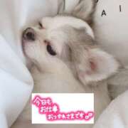 ヒメ日記 2025/03/03 18:57 投稿 らん ゴールドクイーン