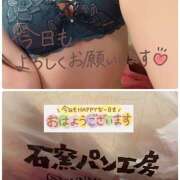 ヒメ日記 2025/04/26 09:03 投稿 らん ゴールドクイーン