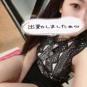 ヒメ日記 2025/07/23 09:18 投稿 らん ゴールドクイーン