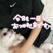 ヒメ日記 2025/07/29 19:23 投稿 らん ゴールドクイーン