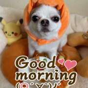 ヒメ日記 2025/10/31 07:50 投稿 らん ゴールドクイーン