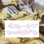 ヒメ日記 2026/01/09 18:33 投稿 らん ゴールドクイーン