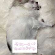 ヒメ日記 2026/03/24 20:44 投稿 らん ゴールドクイーン